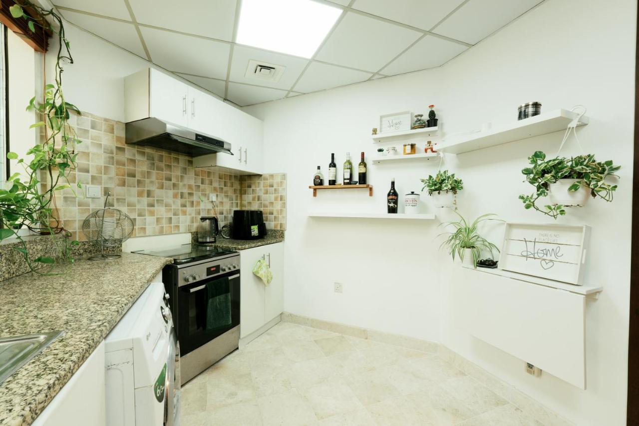 Cozy Spacious Near Downtown Apartment